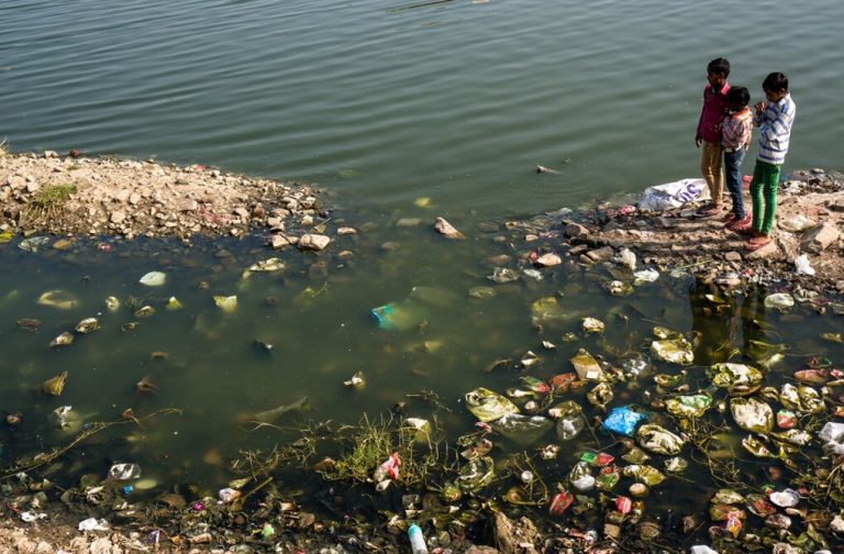 How Does Water Pollution Affect the Environment? Quench Buggy